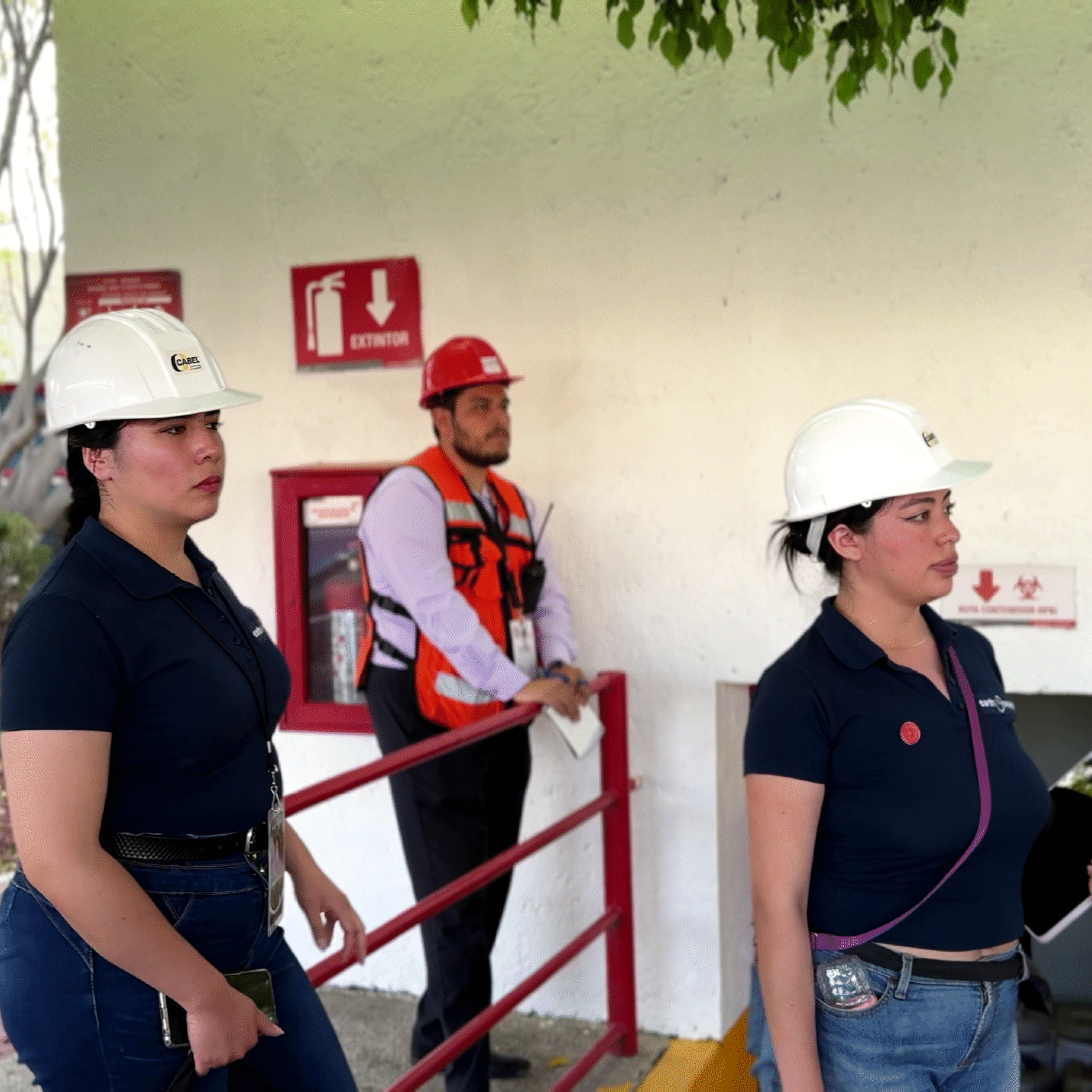 vlcsnap-2025-07-04-11h19m07s060